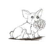 Corgi Coloring Pages To Download And Print For Free