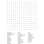 Digestive System Word Search Doc THE DIGESTIVE SYSTEM