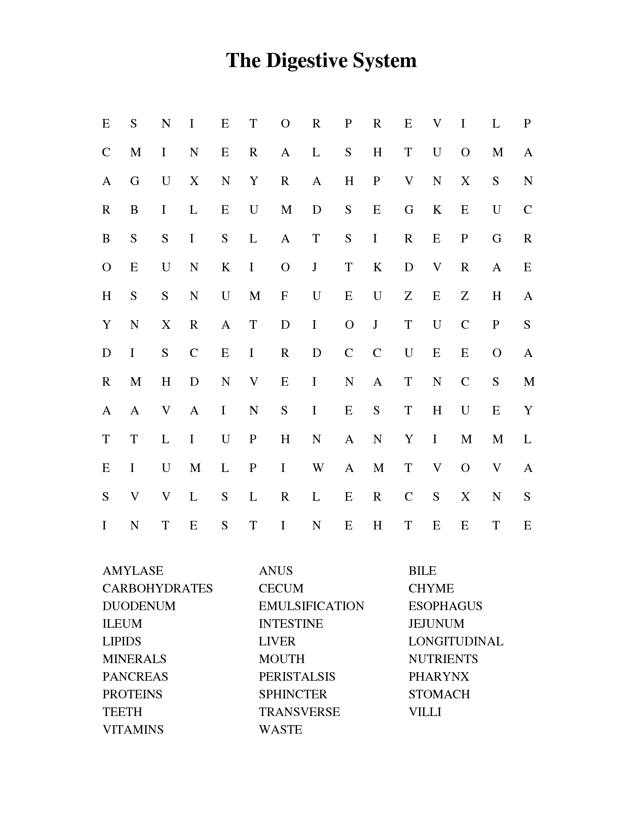 Digestive System Word Search doc THE DIGESTIVE SYSTEM 