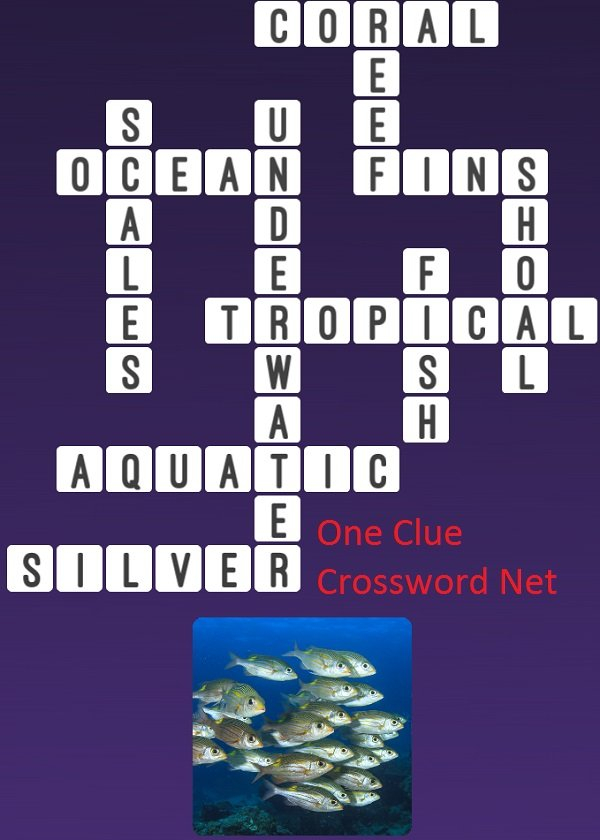 Fish Get Answers For One Clue Crossword Now