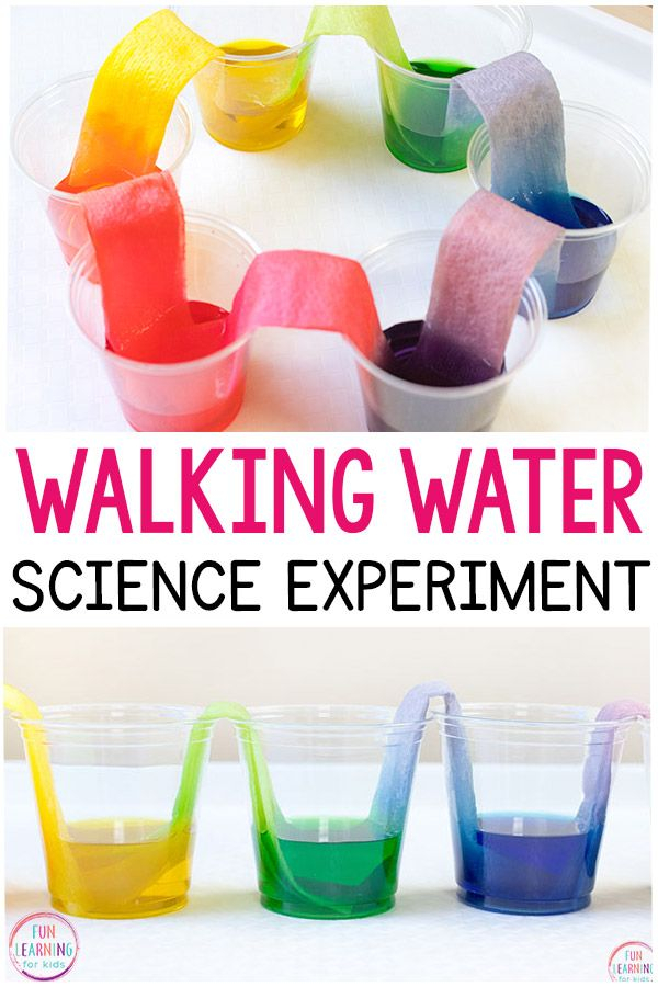 Rainbow Walking Water Science Experiment For Kids 