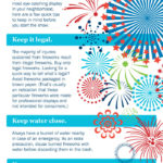 Top 9 Firework Infographics Infographics Graphs