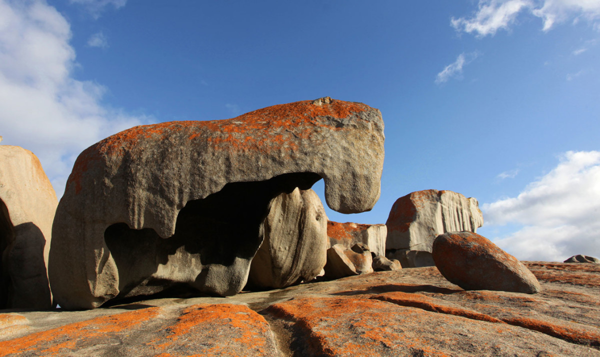 Wild Australia National Geographic For Everyone In 