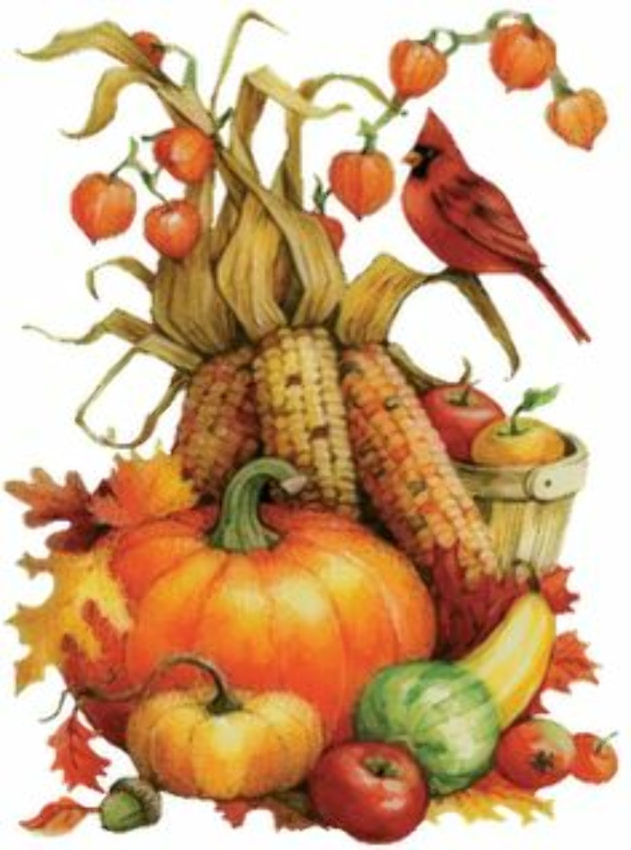 Download High Quality Thanksgiving Clipart Harvest 