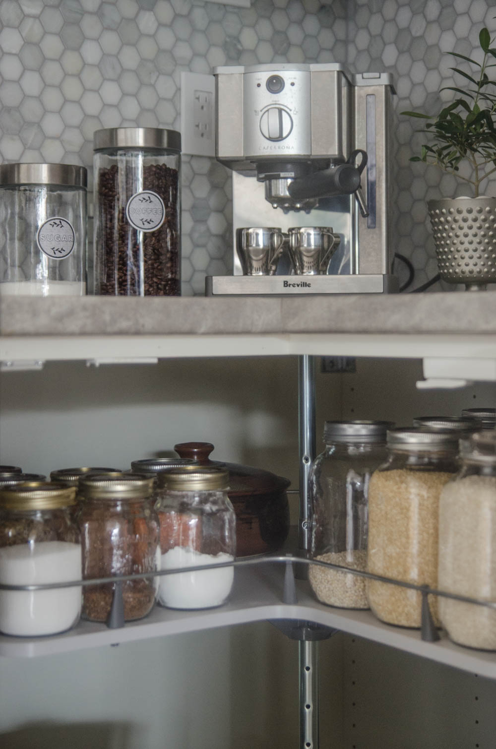Free Modern Printable Pantry Labels By LemonThisle Free 