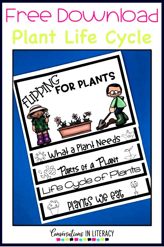 Free Plant Life Cycle Flip Book Printable Plant Life Cycle