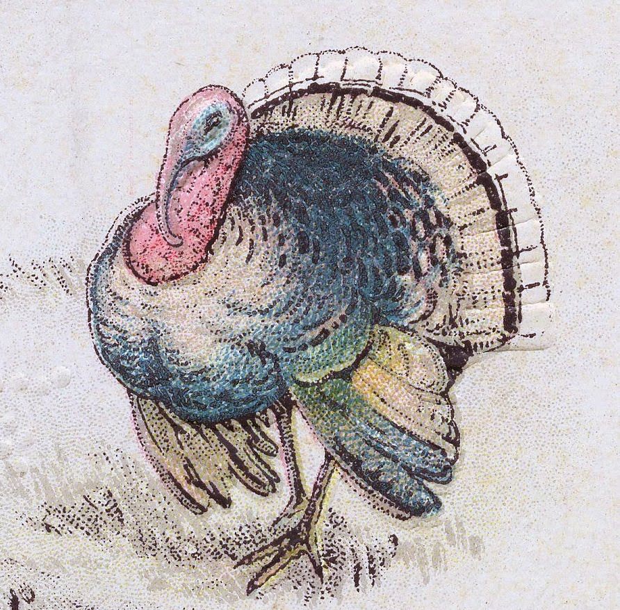 Free Thanksgiving Clip Art Turkey Postcard The 
