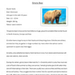 Grizzly Bear Facts Worksheets 99Worksheets