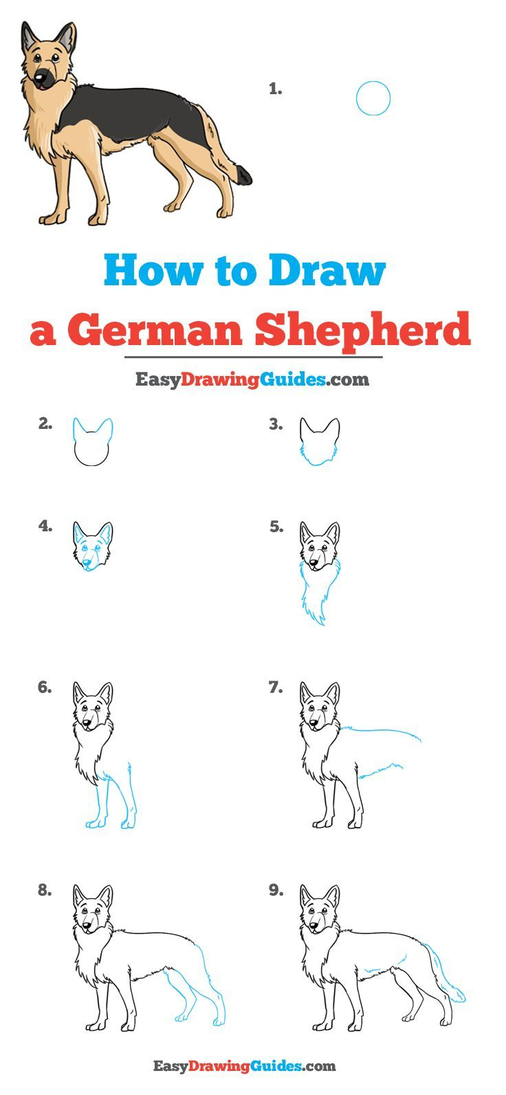 How To Draw A German Shepherd Dog Really Easy Drawing 