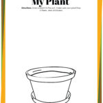 Plant Life Cycle Worksheets Free Printables For Kids