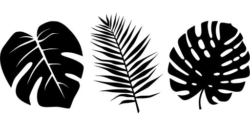 Tropical Leaves Palms Free SVG Image Icon In 2020