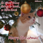 15 Cat Christmas E Cards You Can Share With Your Friends