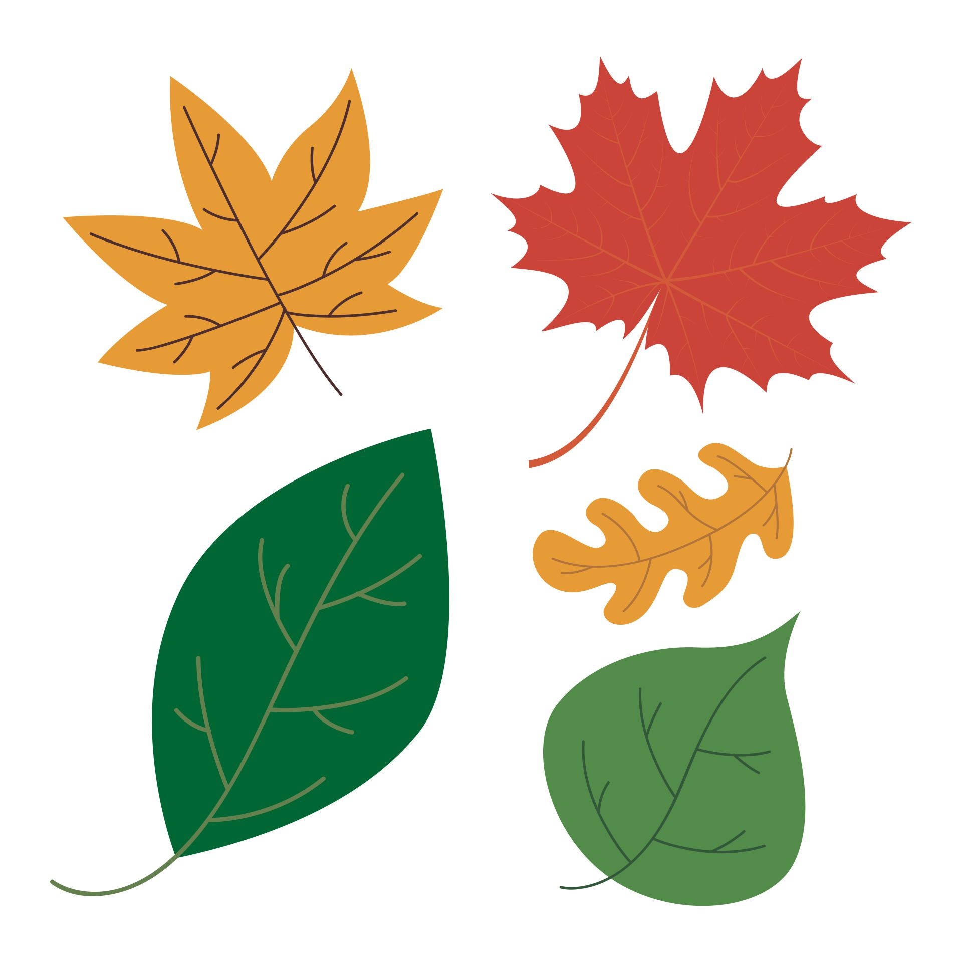 7 Best Fall Leaves Worksheets Printables Printablee