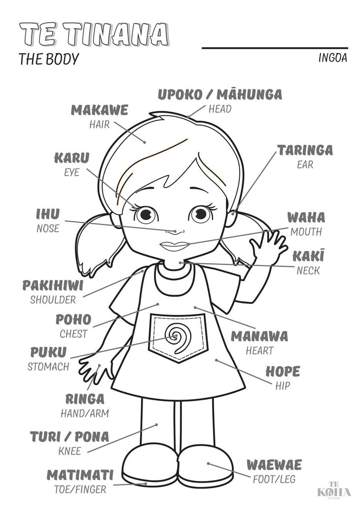 83 Best Te Reo Resources Images On Pinterest Maori Art