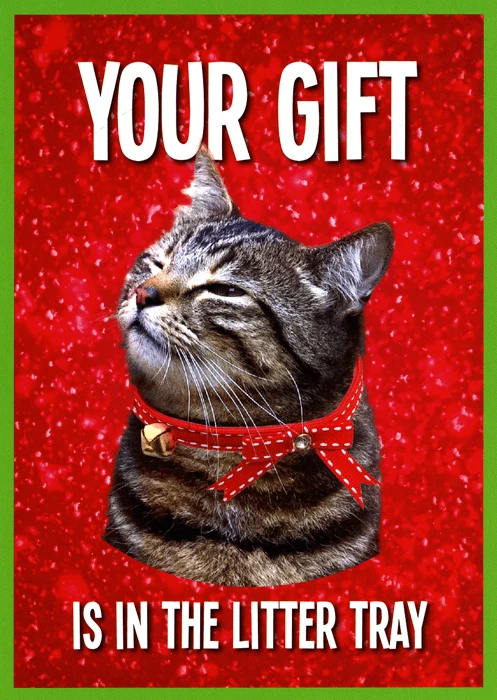 Cat Christmas Gift Cat Christmas Gift Christmas Cats 