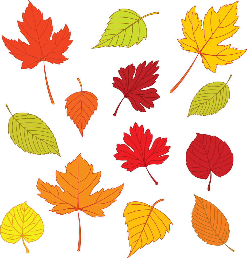Clipart Leaves Coloured Leave Clipart Leaves Coloured