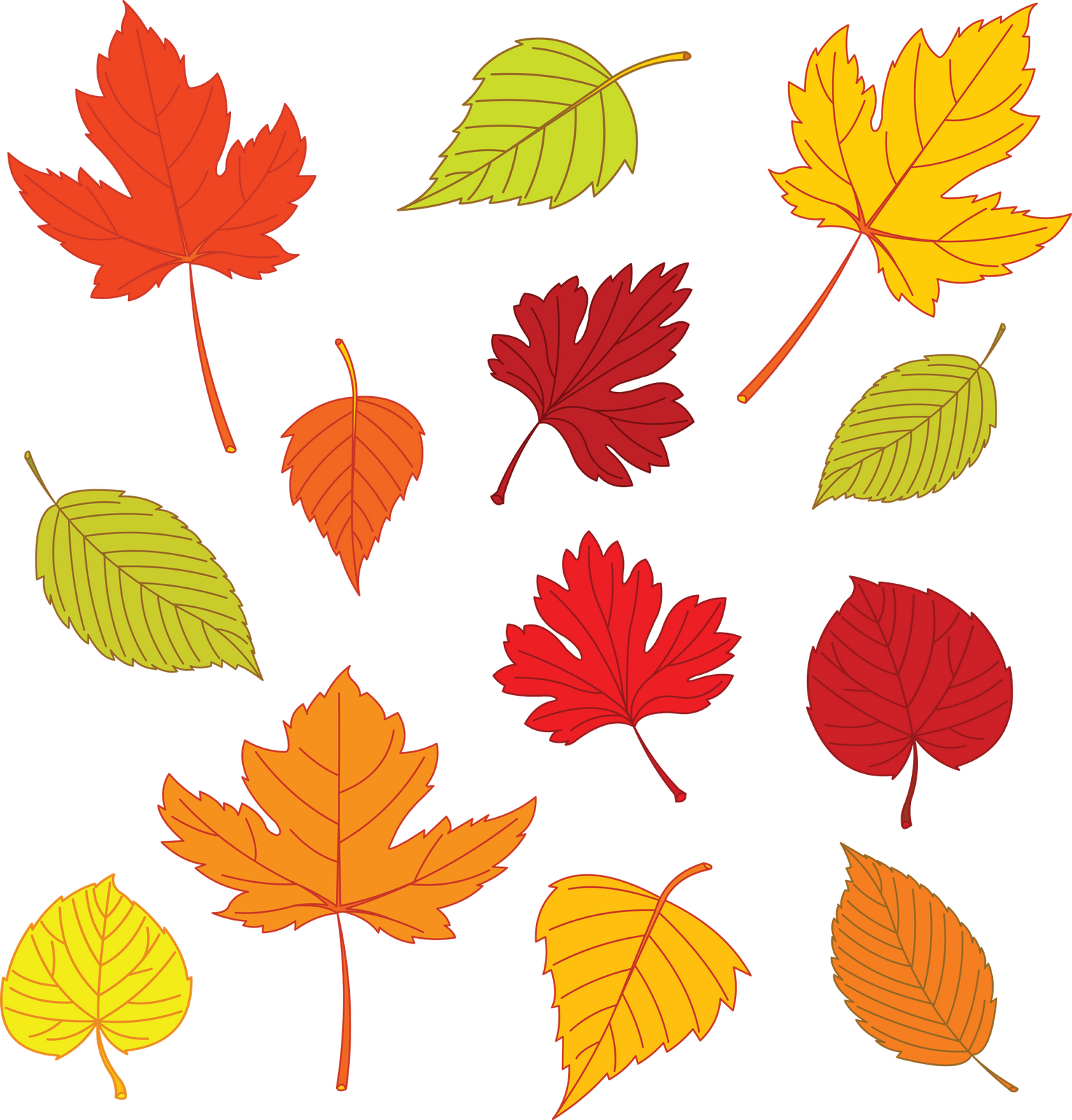 Clipart Leaves Coloured Leave Clipart Leaves Coloured 