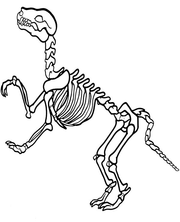 Dinosaur s Bones Printable Picture To Print