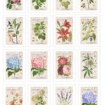 DIY Faux Vintage Postage Stamps Free Printable Free Printable