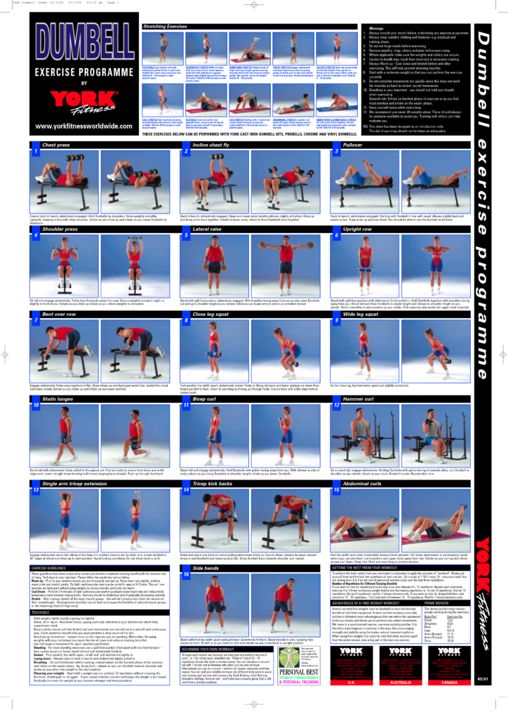 Dumbbell Exercise Chart PDF Dumbbell Workout Plan Dumbell Workout