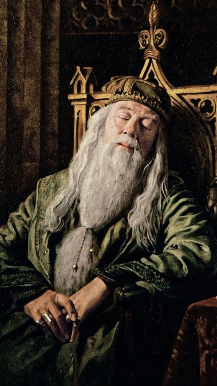  dumbledore harrypotter Harry Potter Sanat Hogwarts Harry Potter