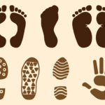 Foot And Hand Prints Set Vector Art Graphics Freevector