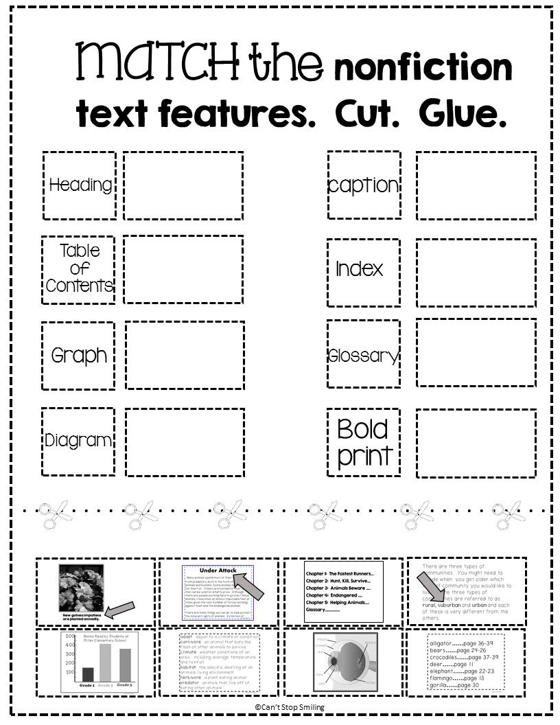 FREE Nonfiction Text Features Matching Activity Text Features 