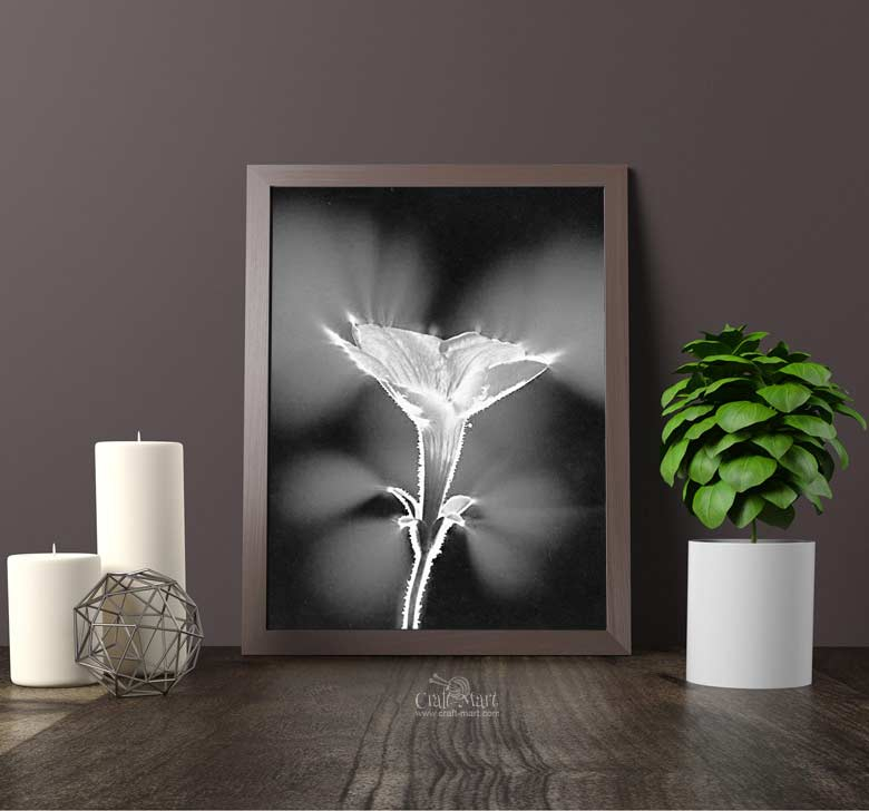 Free Printable Floral Wall Art To Beautify Your Space Craft Mart