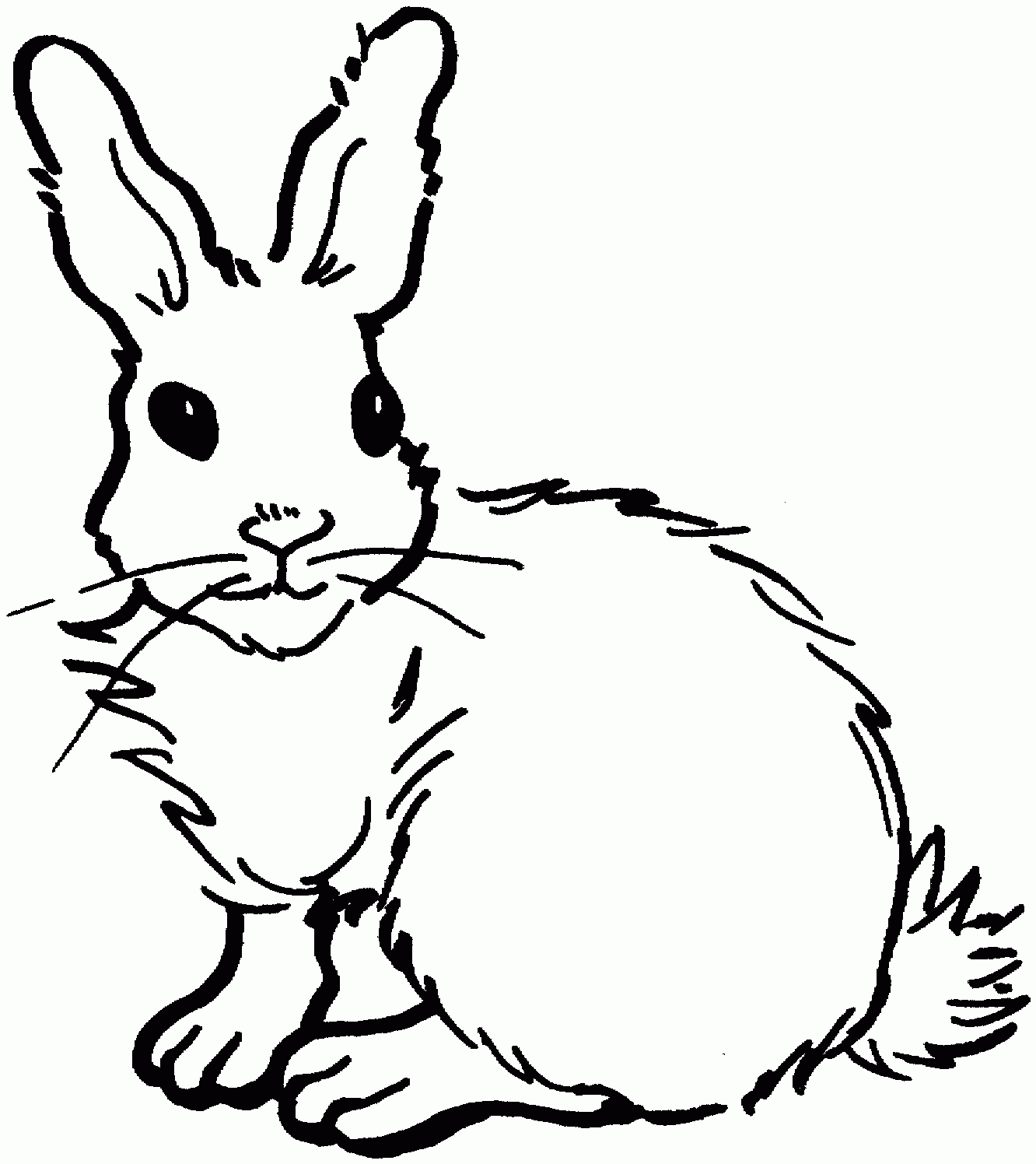 Free Printable Rabbit Coloring Pages For Kids