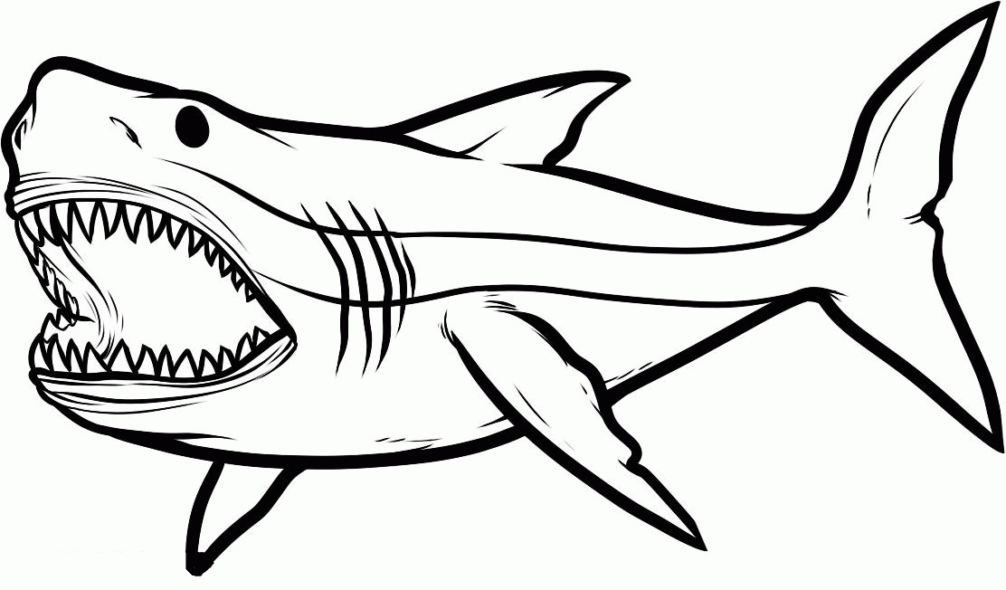Free Printable Shark Coloring Pages AZ Coloring Pages