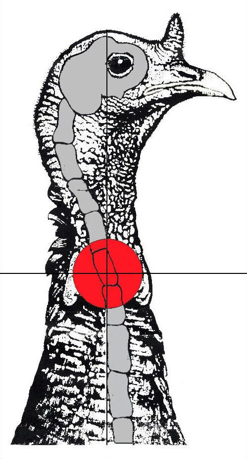 Pix For Printable Turkey Targets Printable Turkey Shooting Targets 