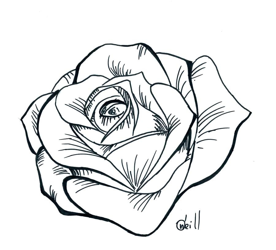 Rose Drawing Stencil At GetDrawings Free Download