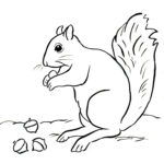Squirrel Coloring Page Art Starts