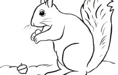 Squirrel Coloring Page Art Starts