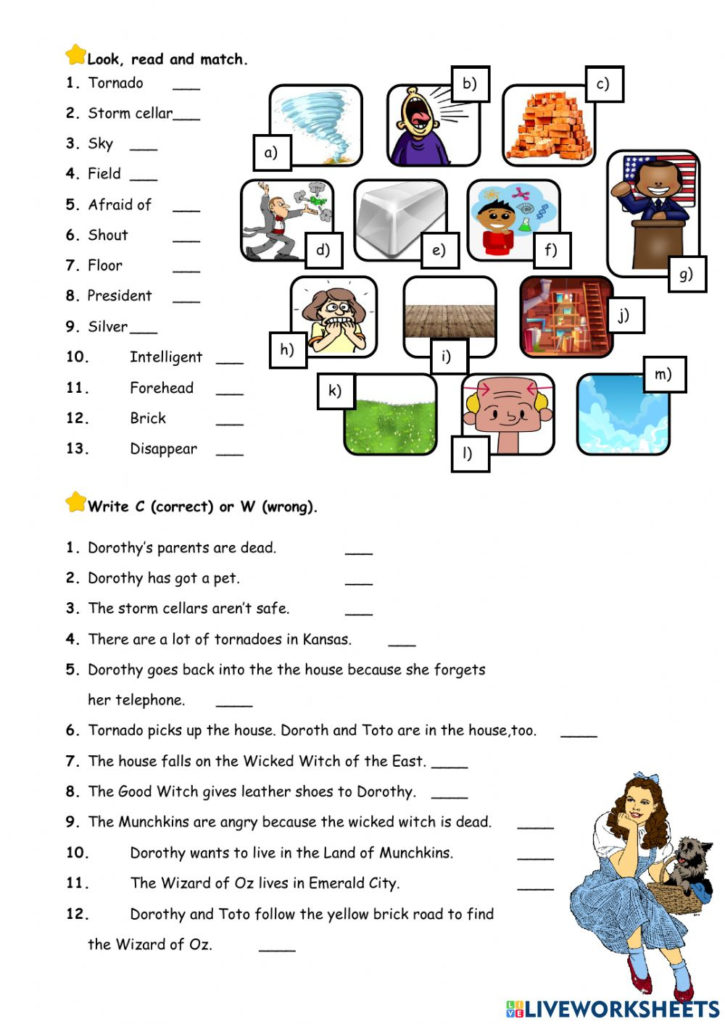 The Wizard Of Oz Ch 1 Worksheet