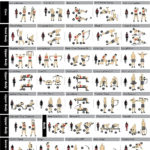 Urban Fitology Dumbbell Exercise Workout Poster For Men And Women 40