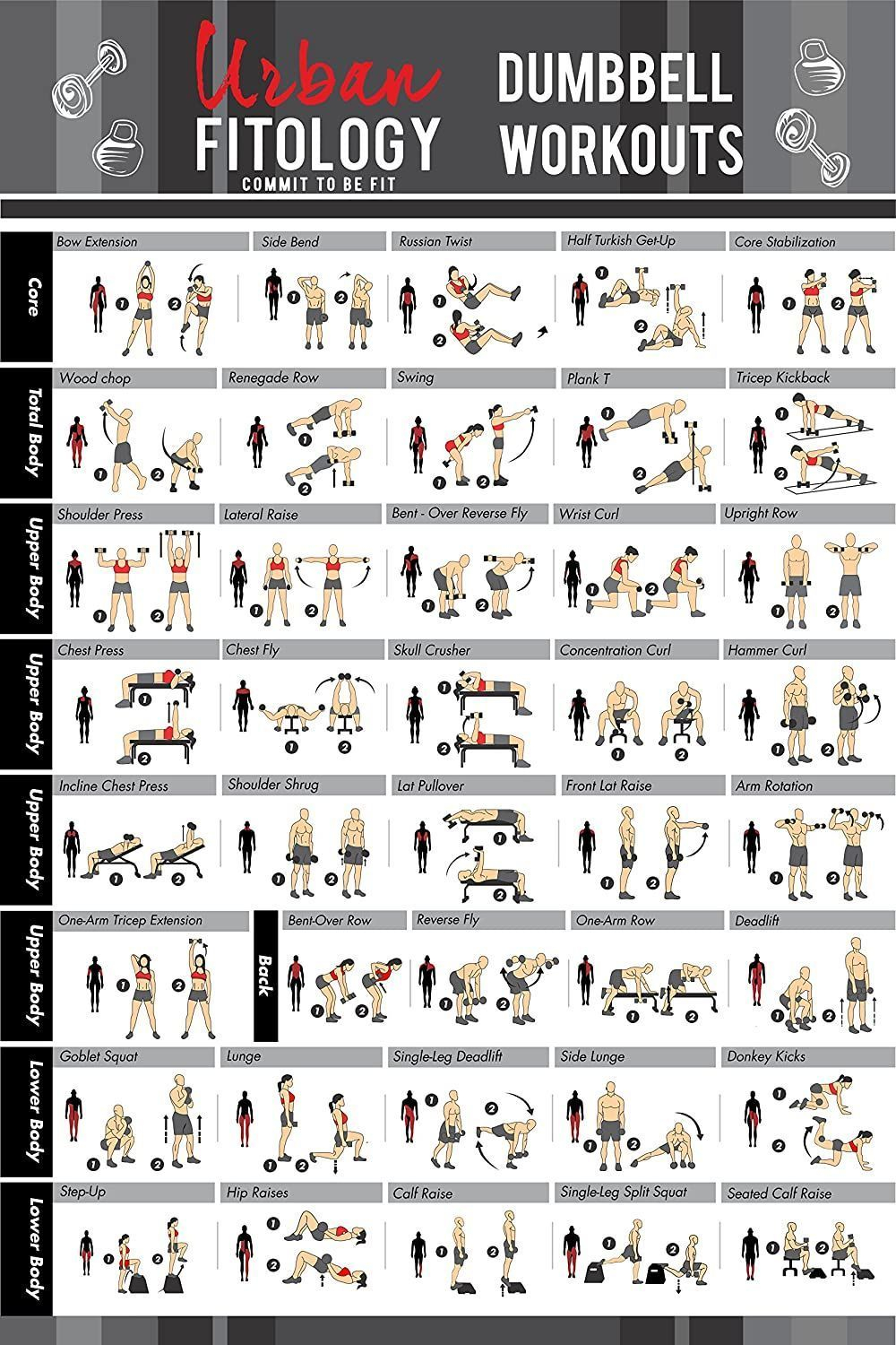 Urban Fitology Dumbbell Exercise Workout Poster For Men And Women 40 