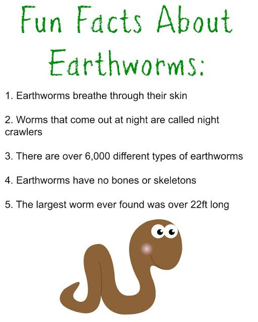 Worms The Chirping Moms Earthworms Kids Worksheets 