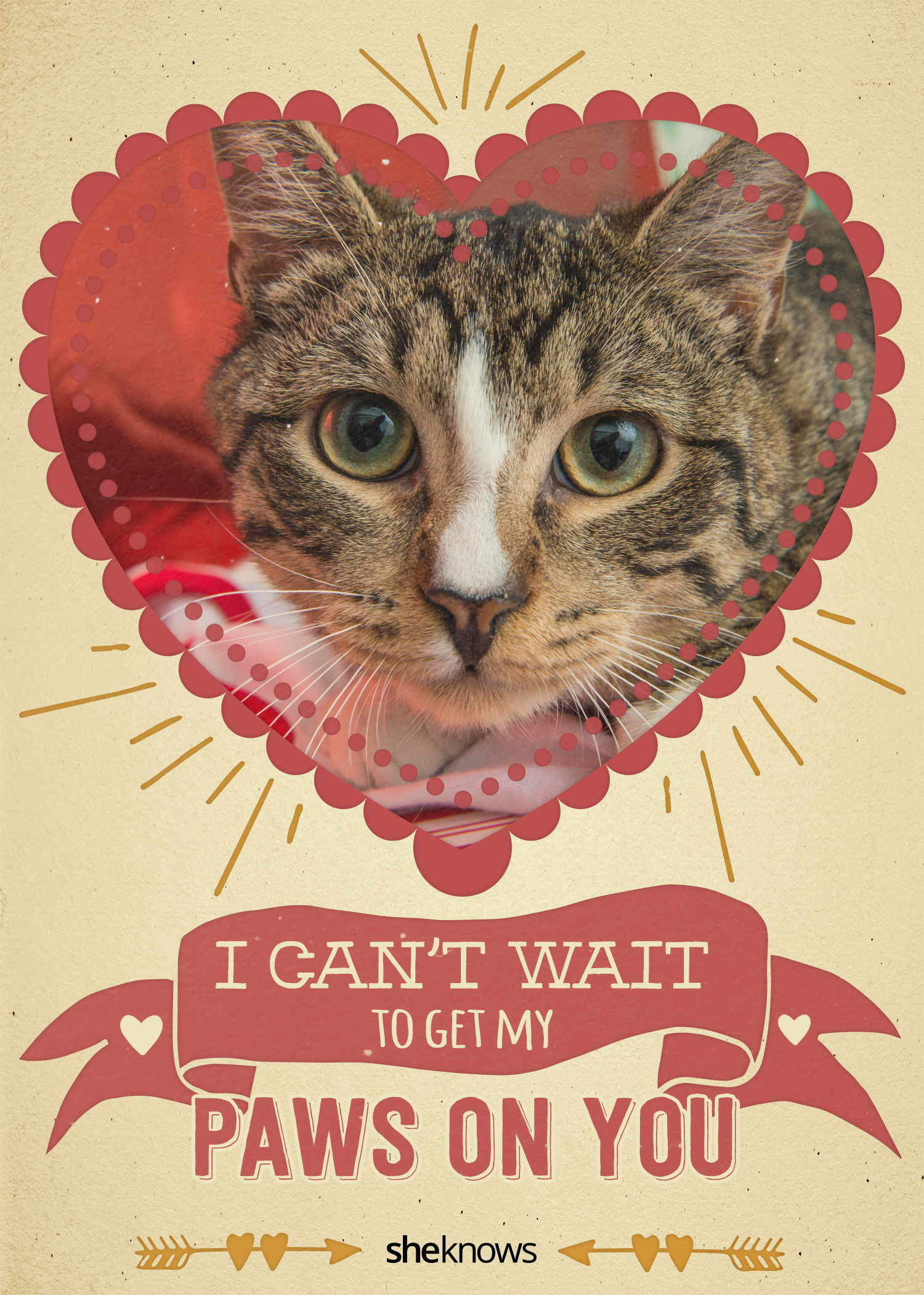 Cat Valentines Printable Suckers