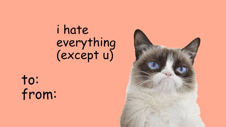 Valentines Day Meme Cards Printable