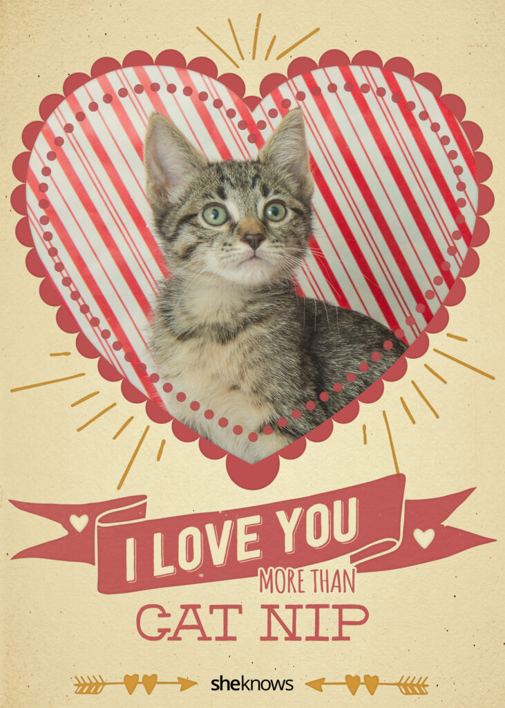 Printable Cat Valentines Cards