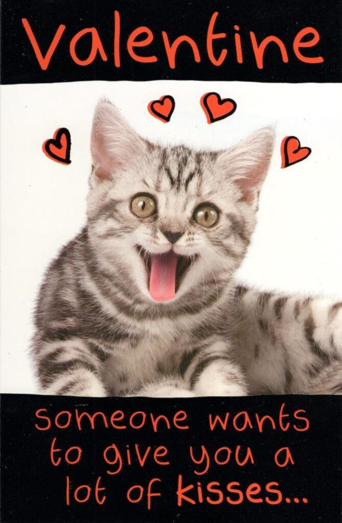 Funny Valentine's Day Card Printable