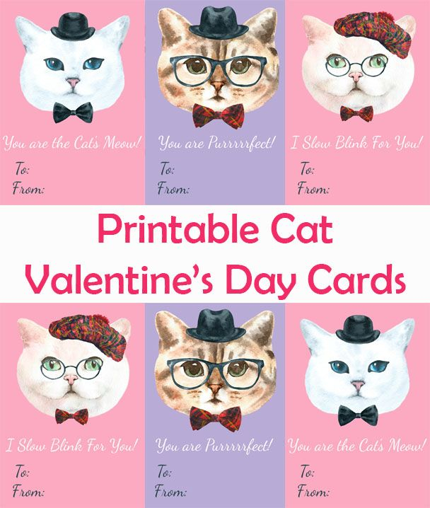 Free Printable Cat Valentine Cards